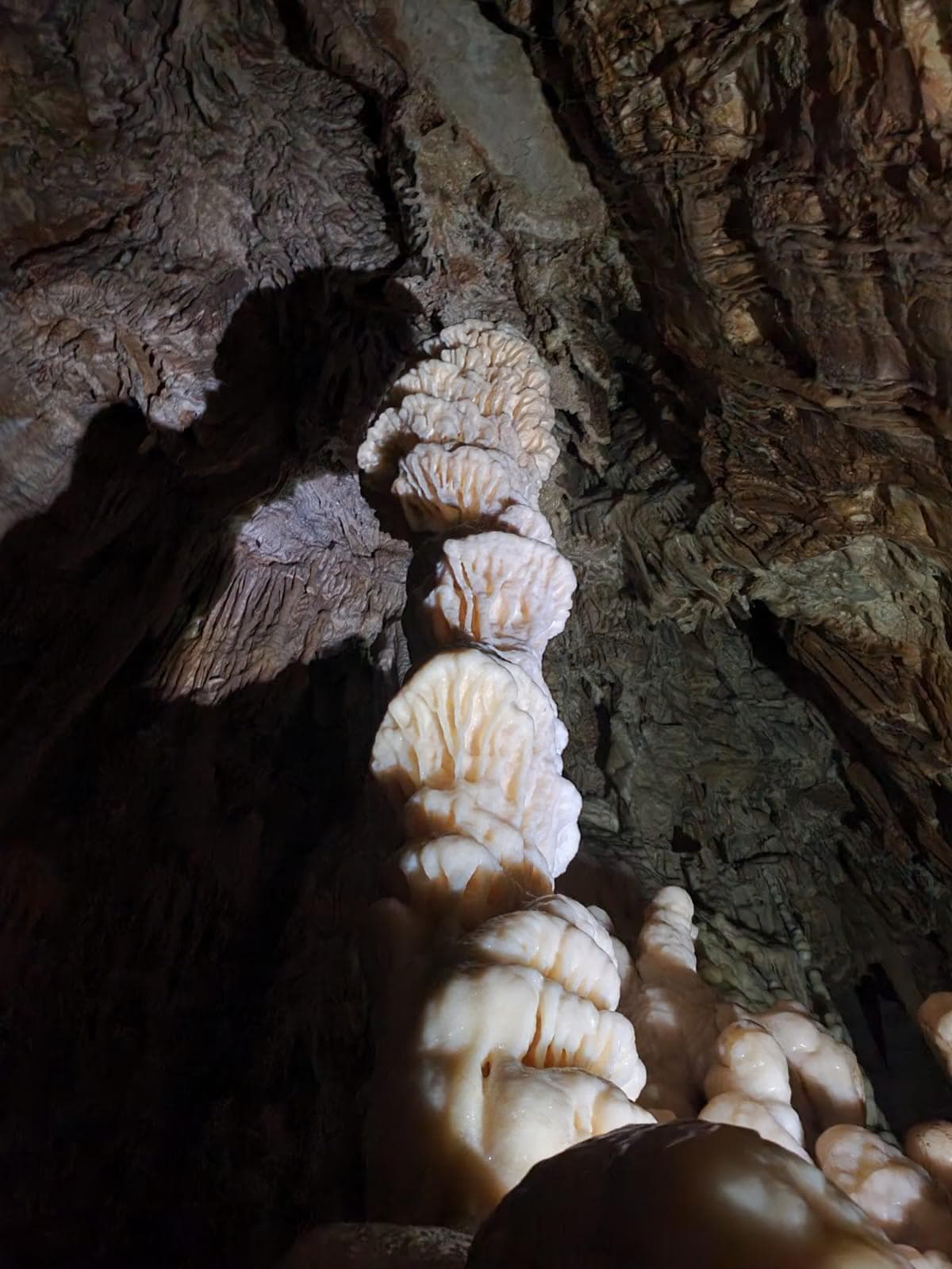 IMG-20221127-WA0029 copie 2