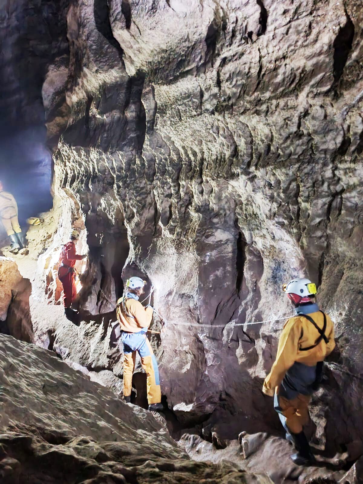 IMG-20221127-WA0037 copie