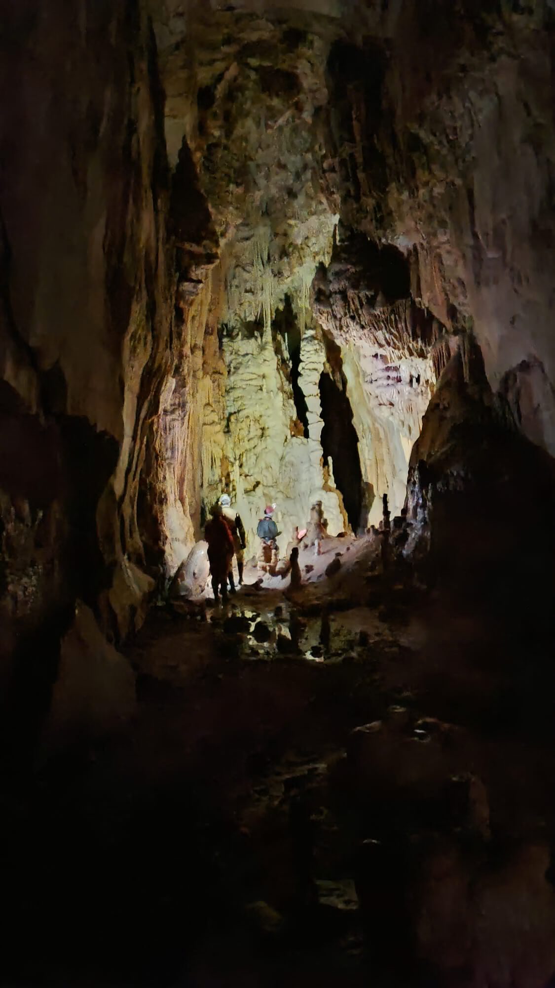 IMG-20221127-WA0072 copie